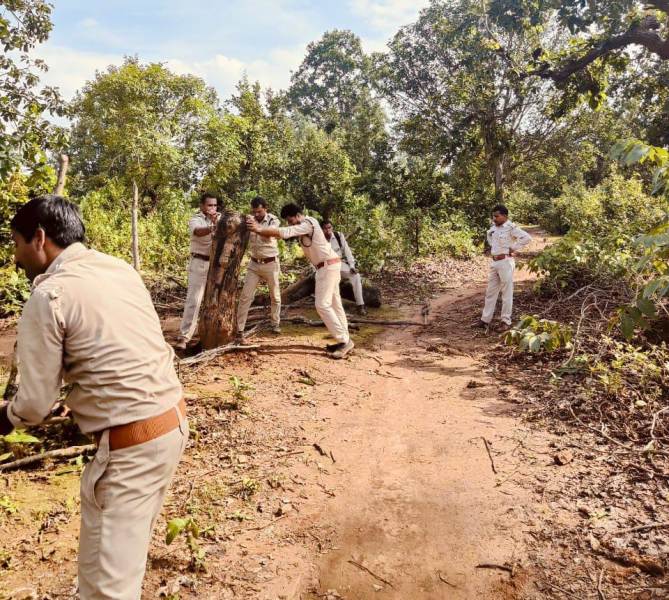 वन भूमि को बेजा कब्जा से मुक्त कराने कार्रवाई जारी : वन विभाग की उड़नदस्ता टीमों ने 23 के विरूद्ध प्रकरण दर्ज किया 