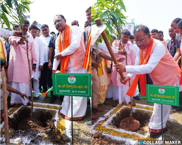 मुख्यमंत्री विष्णु देव साय ने एक पेड़ मां के नाम अभियान के अंतर्गत लगाया केसर आम का पौधा