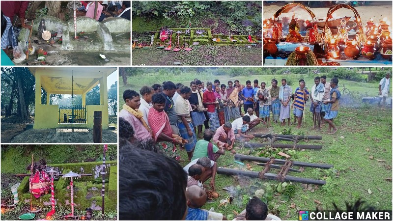 विशेष लेख : छत्तीसगढ़ वन विभाग द्वारा देवगुड़ी स्थलों के संरक्षण और संवर्धन से सांस्कृतिक धरोहर की हो रही है पुनर्स्थापना