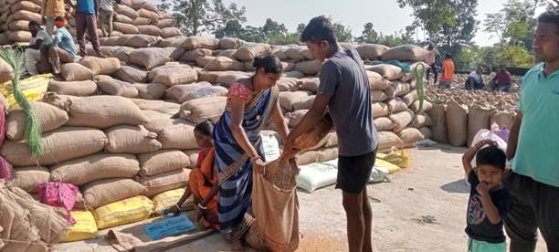 किसानों के चेहरे पर मुस्कान, धान खरीदी का सुचारू संचालन: जशपुर में 10 हज़ार से ज़्यादा किसानों को मिला भुगतान, 70 हज़ार मीट्रिक टन से ज़्यादा धान की ख़रीद!