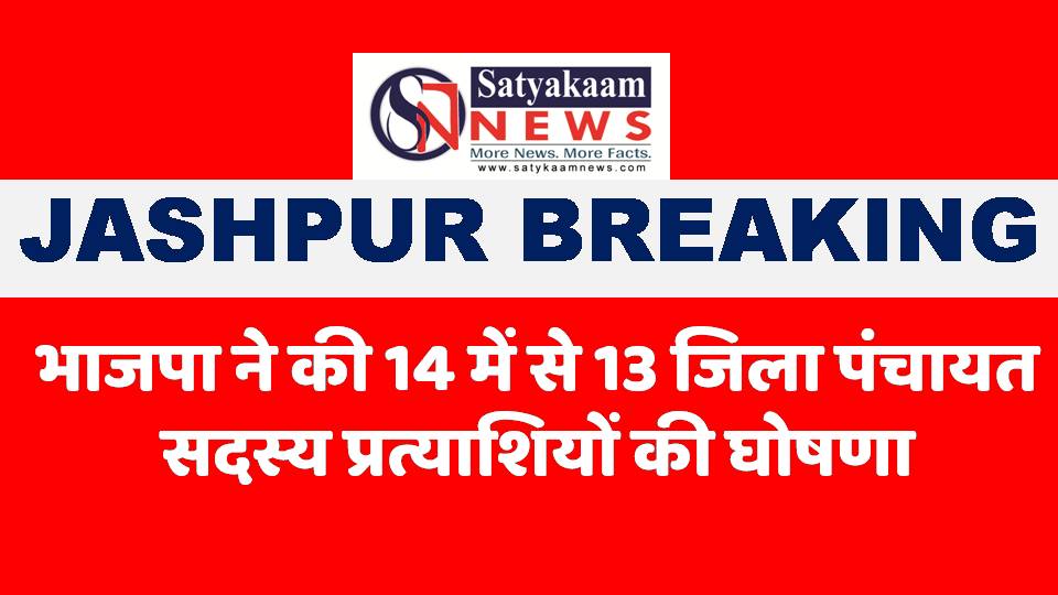 जशपुर पंचायत चुनाव 2025: भाजपा ने 14 में से 13 जिला पंचायत प्रत्याशियों की घोषणा की, कार्यकर्ताओं में जोश, शेष एक नाम जल्द होगा घोषित