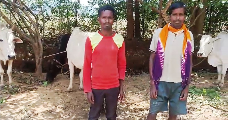 ऑपरेशन शंखनाद : बरगीडांड़ (झारखंड) की ओर क्रूरतापूर्वक पैदल गौ-तस्करी करते दो तस्करों को रंगे हाथ किया गया गिरफ्तार, 5 गौवंश कराए मुक्त, भेजा गया जेल,