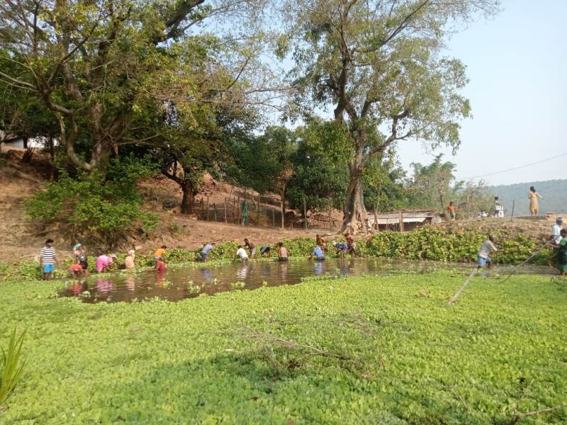 जल संरक्षण संवर्धन के लिए जशपुर जिले में किए जा रहे विशेष प्रयास : गांवों के तालाबों की साफ-सफाई करके किया जा रहा संरक्षित