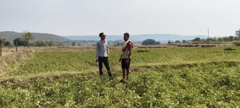 सफलता की कहानी : राष्ट्रीय बागवानी मिशन योजना का लाभ लेकर टेम्पू के किसान सुनील भगत कर रहे टमाटर की खेती