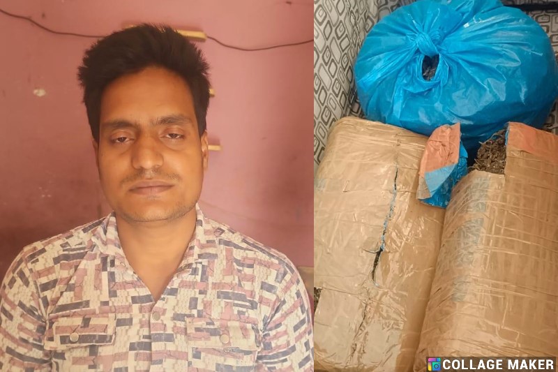 एण्टी क्राईम एण्ड साईबर यूनिट और पुलिस की बड़ी कार्रवाई : गोकुलधाम सोसायटी के पास गांजा बेचने की फिराक में था आरोपी, उड़ीसा निवासी अंतर्राज्यीय ड्रग तस्कर युवक गांजा के साथ रंगे हाथ गिरफ्तार.