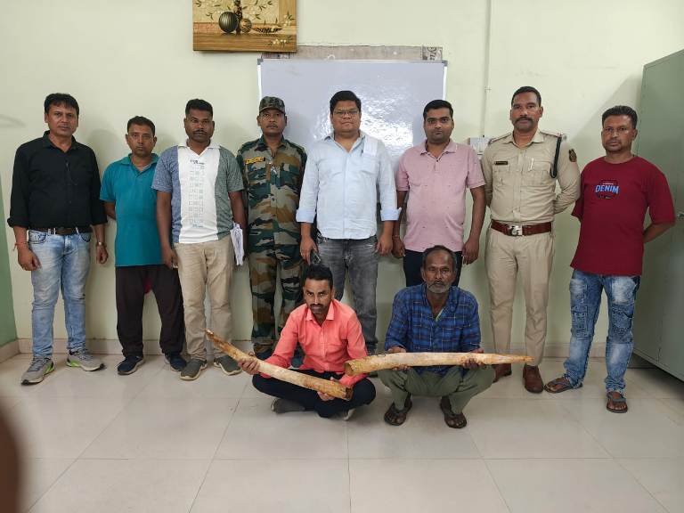 हाथी दांत की तस्करी का भंडाफोड़: दो आरोपी रंगे हाथों पकड़े गए, वन विभाग की बड़ी सफलता