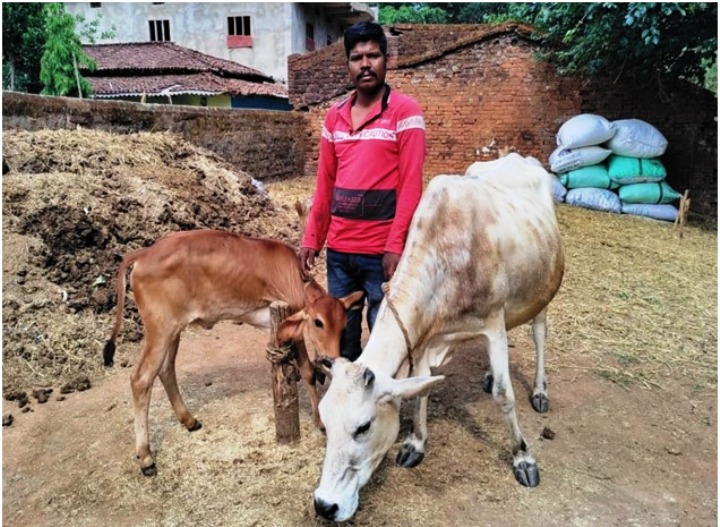 राज्य पोषित डेयरी उद्यमिता विकास योजना से कृषक सुखसागर आर्थिक रूप से हुआ मजबूत, 30 हजार रुपए तक हो जाती है मासिक आय.