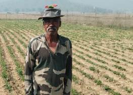 ग्रीष्मकालीन फसल में किसानों के लिए मूंगफली की फसल लाभदायक, कम पानी से अच्छी फसल : जशपुर जिले के किसान बरजू भगत ने 1 एकड़ में मूंगफली फसल की कर रहे खेती