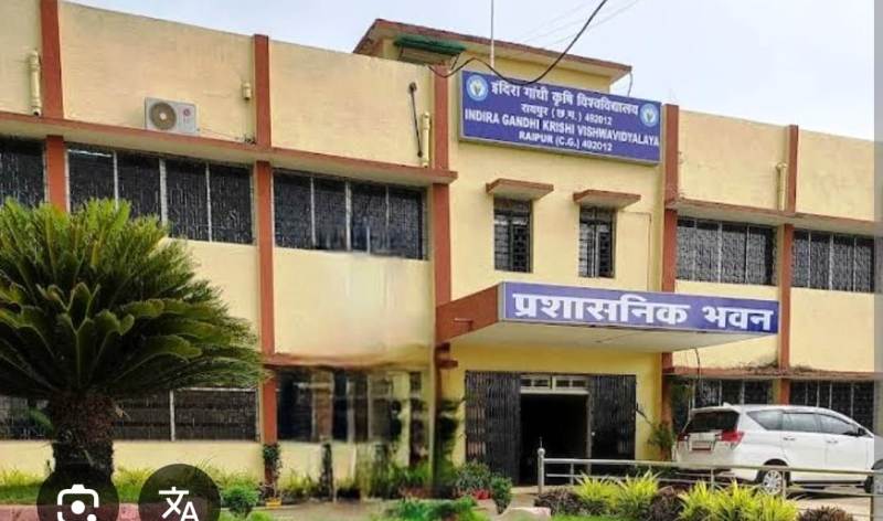 आईजीकेवी केवीके कर्मचारियों के साथ भेदभाव पर फूटा आक्रोश, तकनीकी संघ ने पेंशन, भत्ते और सेवा शर्तों को लेकर दी आंदोलन की चेतावनी, 27 मई से प्रदेशव्यापी आंदोलन की तैयारी में केवीके कर्मचारी.