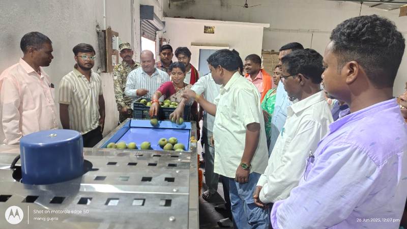 जशपुर में किसानों की आय बढ़ाने की अनूठी पहल: नाशपाती उत्पादक कृषकों को मिली क्लीनिंग और ग्रेडिंग मशीन की सौगात!