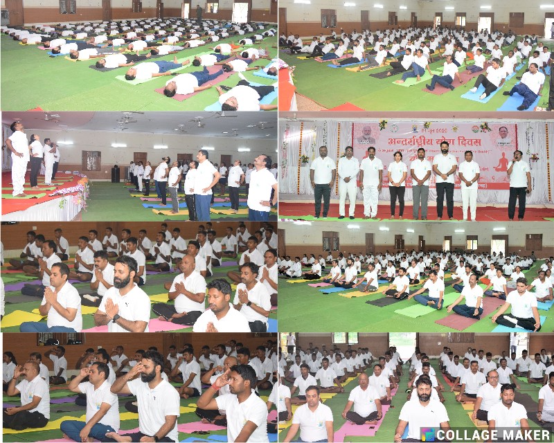 जशपुर : ग्यारहवें अंतर्राष्ट्रीय योग दिवस के अवसर पर वशिष्ठ कम्युनिटी हाल में महाकुम्भ-योग उत्सव की हुई शुरूआत