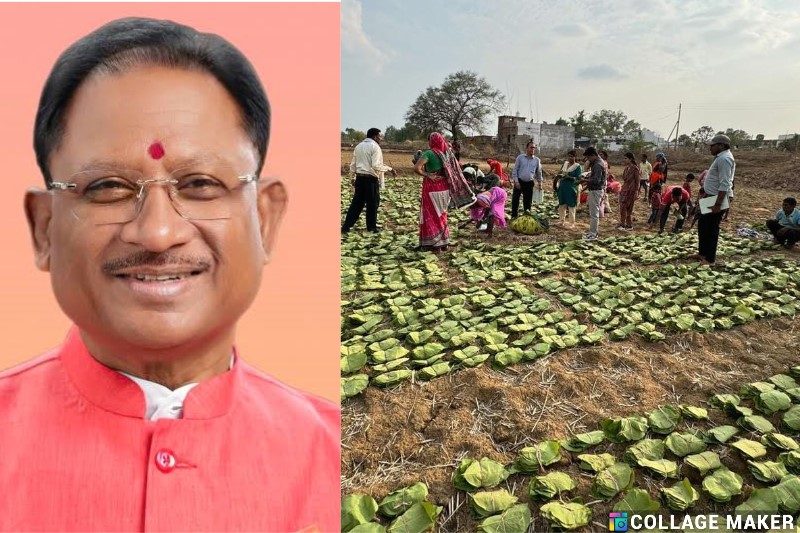 मुख्यमंत्री विष्णु देव साय 21 जून को करेंगे प्रदेशव्यापी चरण पादुका योजना का शुभारंभ, जशपुर जिले के तपकरा से होगी शुरूआत