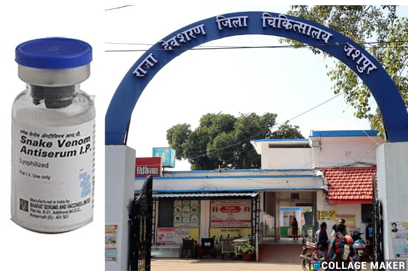 जशपुर में सर्पदंश से बचाव को लेकर जिला चिकित्सालय की बड़ी पहल, आमजन को किया सतर्क और जागरूक, जशपुर अस्पताल में 5400+ एंटी स्नेक वेनम स्टॉक में; जानें क्या करें और क्या नहीं