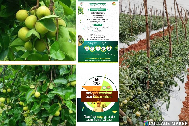 जशपुर : जिले में पहली बार एग्री -हॉटी क्रेता विक्रेता सम्मेलन 2025 का आयोजन, जिले के उत्पाद को मिलेगी राष्ट्रीय पहचान, देश के कई राज्यों की कंपनियां होंगी शामिल