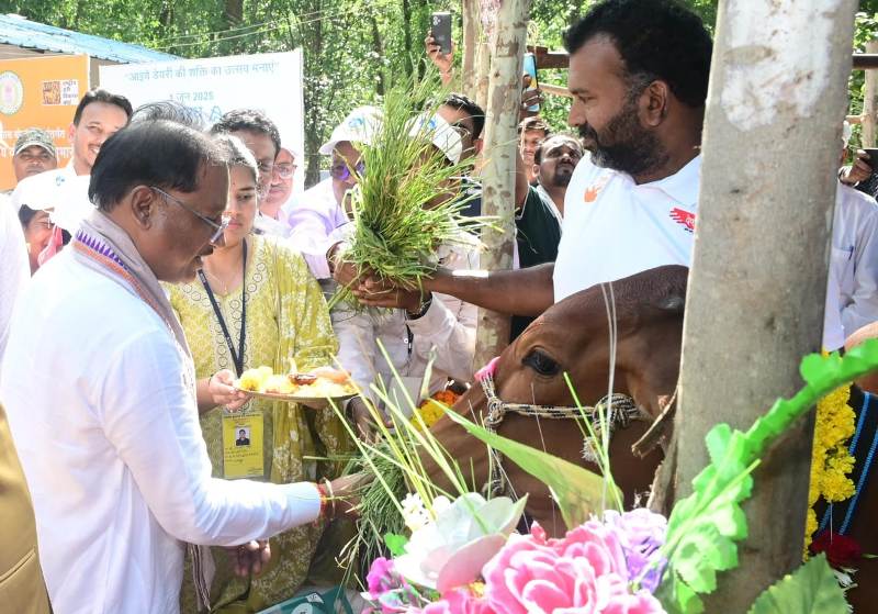 छत्तीसगढ़ में डेयरी क्रांति की शुरुआत! मुख्यमंत्री साय ने की दुधारू पशु प्रदाय योजना की लॉन्चिंग – महिलाओं को मिलेगा रोजगार और समृद्धि
