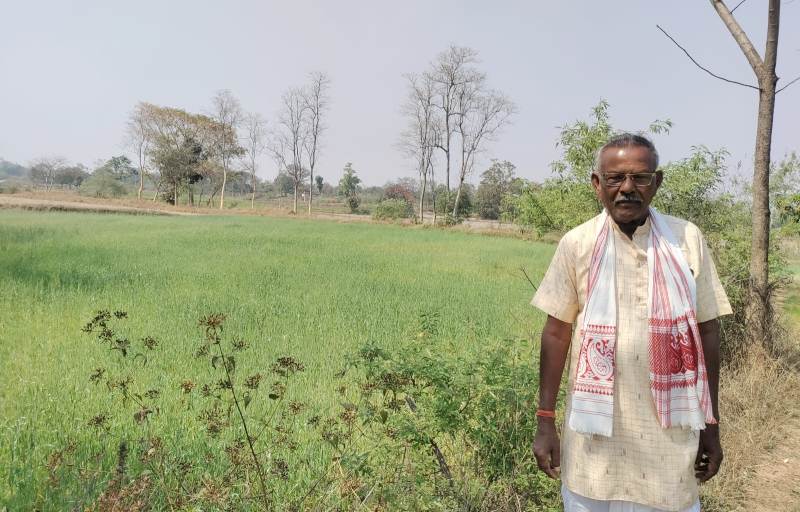 4 हजार की जगह 16 हजार की कमाई! जशपुर के गणेश यादव ने गेहूं की खेती से रचा मुनाफे का इतिहास