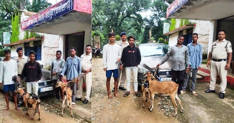 बकरी चोरी का पर्दाफाश : जशपुर पुलिस की फिल्मी स्टाइल रेड, बगीचा क्षेत्र से बकरी चोर गिरोह धराया, अंबिकापुर में दरिमा चौक से हुई गिरफ्तारी, बगीचा पुलिस ने टेक्निकल टीम और मुखबिरों की मदद से चार आरोपी किए गिरफ्तार, एसएसपी ने दी शाबाशी.