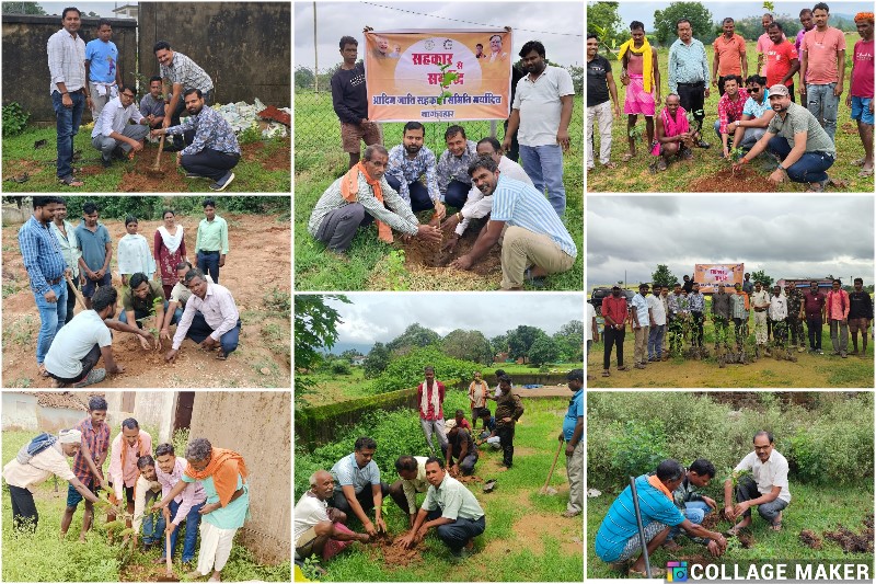 अंतराष्ट्रीय सहकारिता दिवस : ‘एक पेड़ माँ के नाम’ अभियान अंतर्गत जशपुर जिले के 24 आदिम जाति सेवा सहकारी समितियों में हुआ पौधरोपण कार्यक्रम