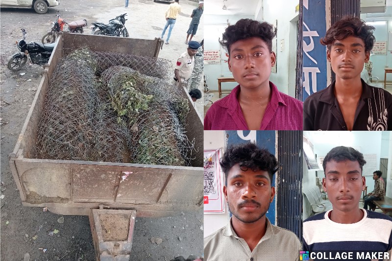 घरघोड़ा पुलिस की बड़ी कार्रवाई : छोटे गुमड़ा गांव में दो बड़ी चोरियों का खुलासा, 8.60 लाख की संपत्ति चोरी कर छिपा रहे थे आरोपी, ट्रैक्टर समेत बोर पंप मशीन व जालीतार बरामद, चार आरोपी गिरफ्तार, भेजा गया न्यायिक रिमांड पर.