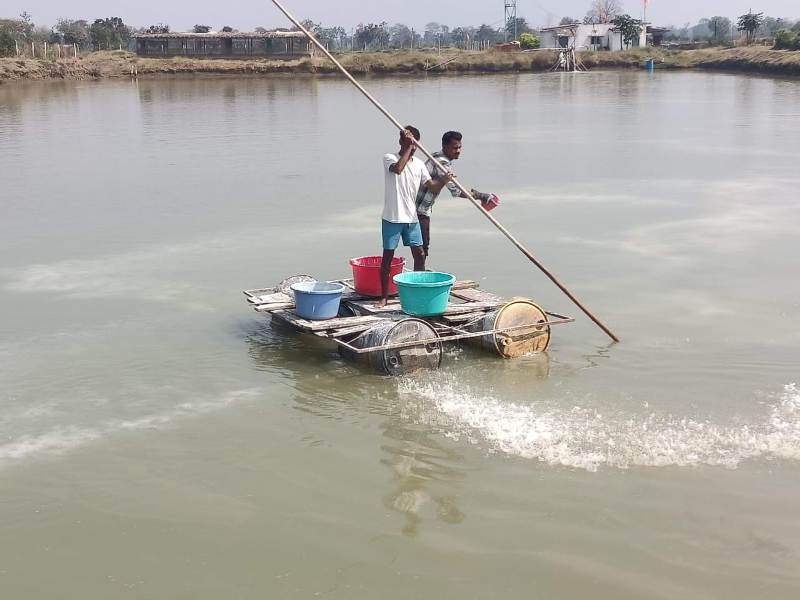 मत्स्य संपदा योजना से किसान की आय हुई दुगनी : मुख्यमंत्री विष्णुदेव साय के प्रति जताया आभार