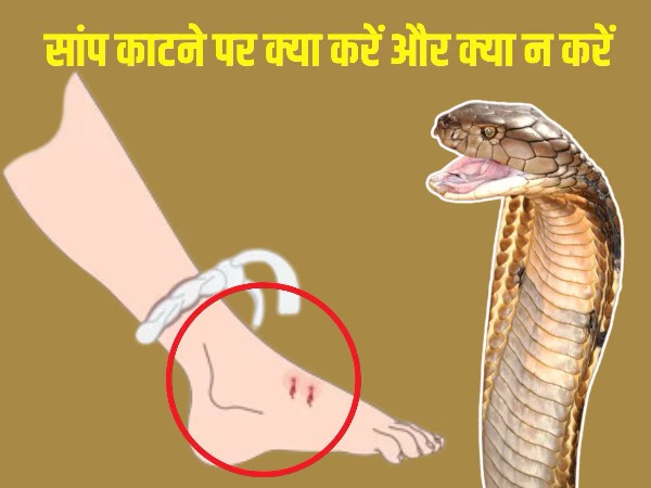 सांप के काटने से कैसे बचें? जशपुर में वन विभाग की अनोखी पहल, नागपंचमी पर जागरूकता कार्यशाला