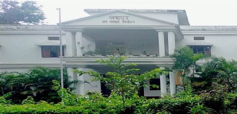 जशपुर में हाथी-मानव द्वंद कम करने की बड़ी पहल, वन विभाग ने शुरू किया 24 घंटे गज सूचना केंद्र