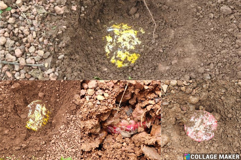 नारायणपुर में पुलिस-आईटीबीपी का बड़ा अभियान : नारायणपुर में खौफनाक साजिश का पर्दाफाश, जंगल में छिपाए 5 आईईडी बम बरामद और किये गए नष्ट.