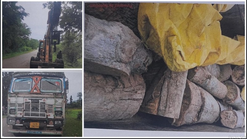 जशपुर वनमंडल की बड़ी कार्रवाई: झारखंड से आए ट्रक और हाइड्रा में बिना अनुमति लदी 16 नग सेमल लकड़ी के लट्ठे जप्त, दस्तावेज़ विहीन तस्करी का खुलासा, वन विभाग ने पकड़ा गिरोह का सिरा
