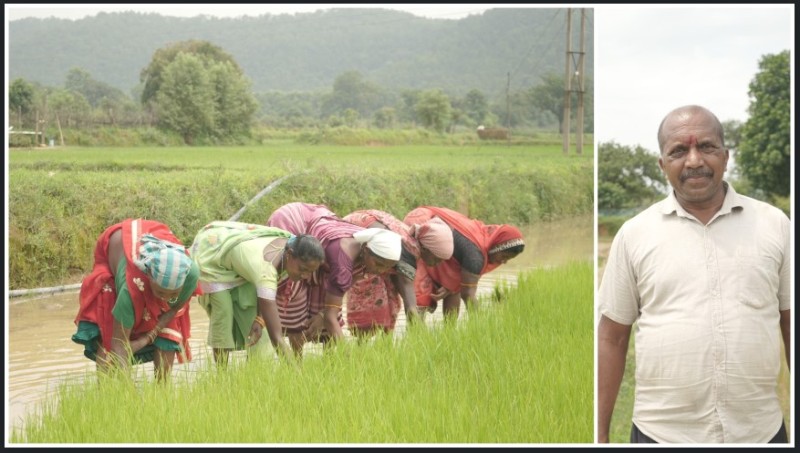 समय पर मिला खाद, खिल उठी उम्मीदें, संतोष की मेहनत में भरेंगे रंग, कोरकोमा के संतोष के खेतों में लहलहाएगी उम्मीदों की धान