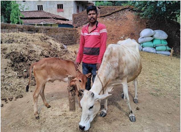 राज्य पोषित डेयरी उद्यमिता योजना से किसान सुखसागर यादव की जिंदगी बदली, 1 लीटर दूध से पहुंचे 18 लीटर उत्पादन और 30 हजार मासिक आमदनी तक