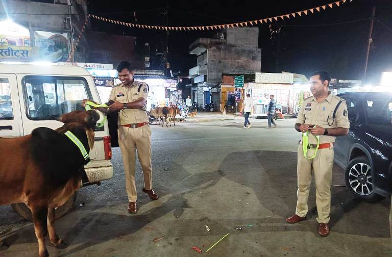 पुलिस की सख्ती: एनएच-43 पर मवेशी छोड़ने वाले 2 मालिकों के खिलाफ केस दर्ज