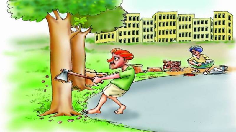 जशपुर : निजी भूमि पर वृक्ष कटाई के लिए दिशा-निर्देश जारी, साल-सागौन सहित विनिर्दिष्ट प्रजाति के पेड़ वन विभाग के माध्यम से ही होंगे विक्रय