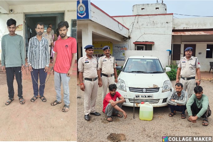 रायपुर पुलिस की बड़ी कार्रवाई : मालवाहक वाहनों से डीजल चोरी करने वाले अंतर्राज्यीय गिरोह का पर्दाफाश, मंदिर हसौद पुलिस ने चार आरोपी किये गिरफ्तार, की गई कार्यवाही.