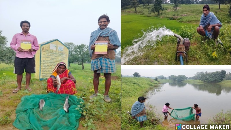 सफलता की कहानी : किशोरी अमृत सरोवर बना खुशहाली का स्रोत, 20 साल पुराने तालाब का कायाकल्प,  सिंचाई और मछलीपालन से बदल रही है ग्रामीणों की जिंदगी