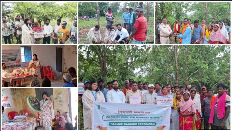 मेरा रेशम मेरा अभिमान: जशपुर बना तसर कोकून उत्पादन का हब, किसानों को मिला प्रशिक्षण और अर्जुन पौधों का तोहफा