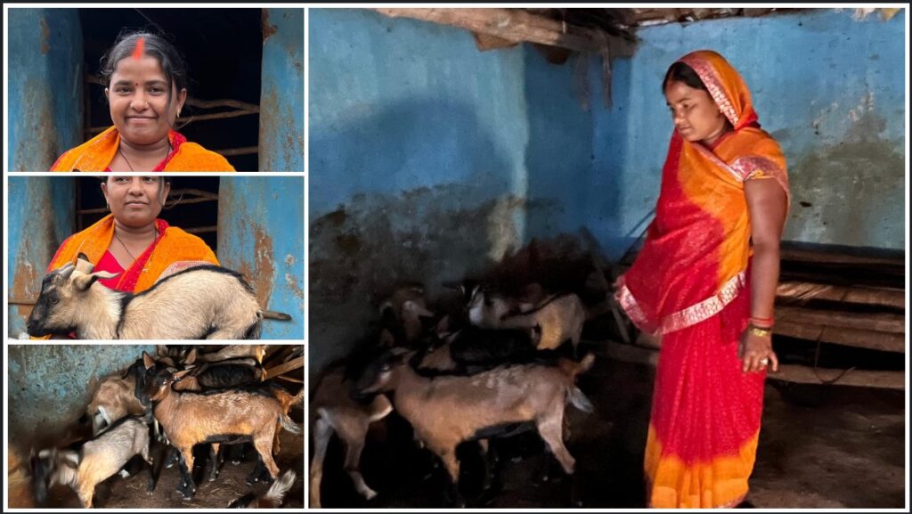 जशपुर की सफलता की कहानी: सामान्य परिवार की सविता रजक को मिला बिहान योजना, महतारी वंदन, पीएम आवास और उज्ज्वला योजना का लाभ—बकरी पालन से हर महीने 10 हज़ार की आय, बच्चों की पढ़ाई और परिवार का भविष्य हुआ सुरक्षित