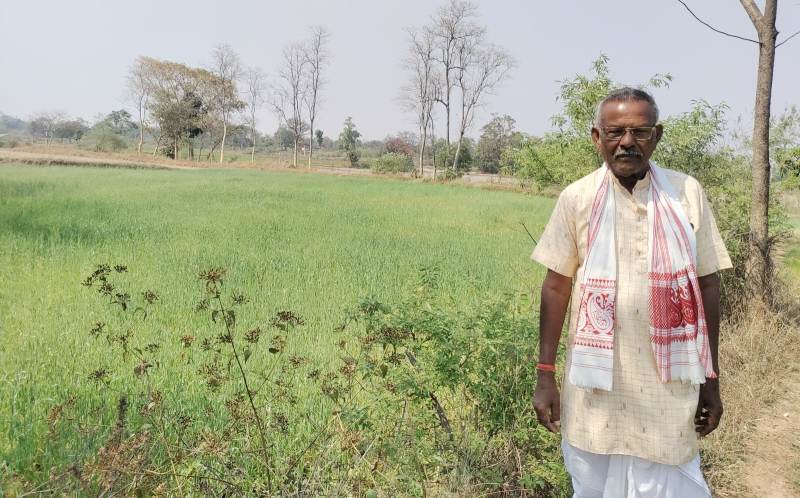 उन्नत तकनीक से खेती : परंपरागत खेती को पीछे छोड़ा, गेहूं की फसल में नई तकनीक से किसान हुआ आत्मनिर्भर, बढ़ी आय और उपज, जशपुर के किसान ने गेहूं उत्पादन में बढ़ाई आमदनी, कम लागत में दोगुना मुनाफा.