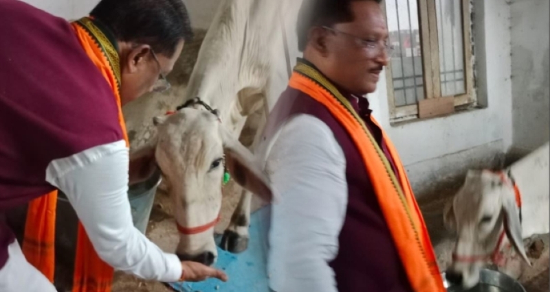 गौ-सेवा से आत्मिक संतोष और नई ऊर्जा मिलती है: मुख्यमंत्री विष्णुदेव साय ने सीएम हाउस में गौमाता को रोटी-गुड़ खिलाकर की प्रदेशवासियों के कल्याण की कामना