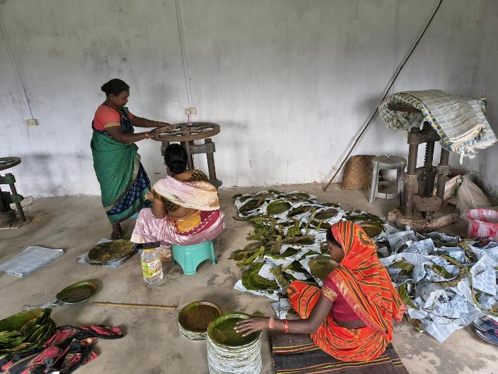 जशपुर में जनमन योजना का असर: स्व-सहायता समूह से जुड़कर पहाड़ी कोरवा महिलाएं कमा रहीं आजीविका