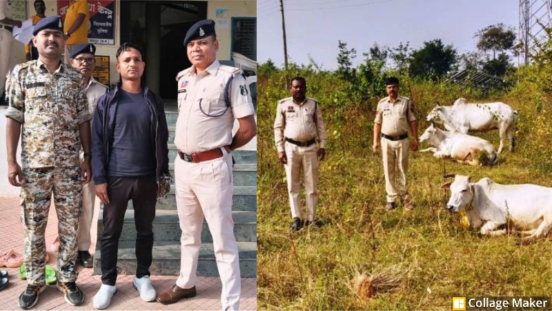 ऑपरेशन शंखनाद : जशपुर पुलिस की बड़ी कार्रवाई चौकी सोनक्यारी से फिर बचाए 10 गौ-वंश, झारखंड से गिरफ्तार हुआ फरार आरोपी गौ तस्कर, भेजा गया जेल.