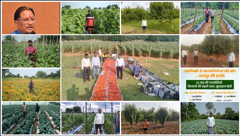 मुख्यमंत्री विष्णुदेव साय की पहल से उद्यानिकी में बंपर बढ़ोतरी — जशपुर के 2600 किसानों की आय में हुई रिकॉर्ड वृद्धि!