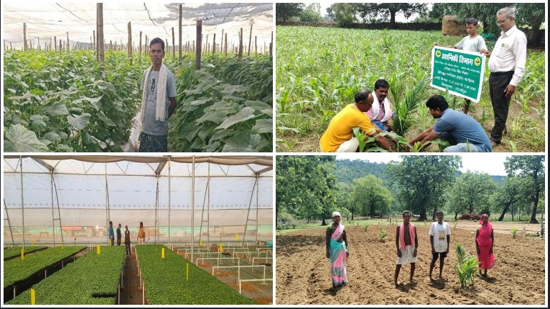 कभी नक्सल प्रभावित बस्तर में अब फलों-फूलों की बहार — मुख्यमंत्री विष्णु देव साय की नीतियों से हरियाली और खुशहाली का संगम