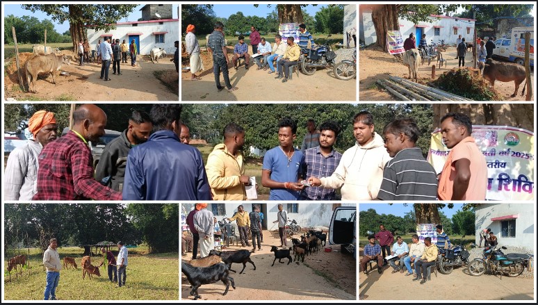 ग्रामीण पशु स्वास्थ्य में नई पहल! जशपुर के बालाझापर में 120 पशुओं का हुआ निःशुल्क उपचार, सरकार की योजनाओं से बढ़ी उम्मीदें