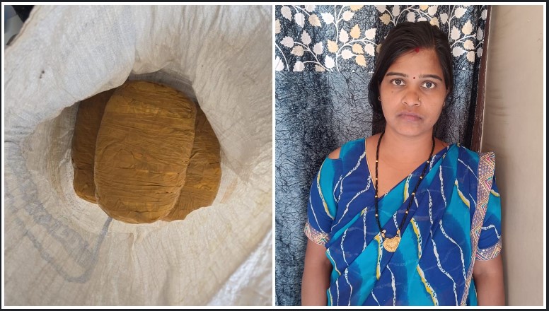 महिला ड्रग सप्लायर पकड़ाई—थैले में छिपा 5.8 किलो गांजा, एसीसीयू की गुप्त रेड में बड़ा खुलासा
