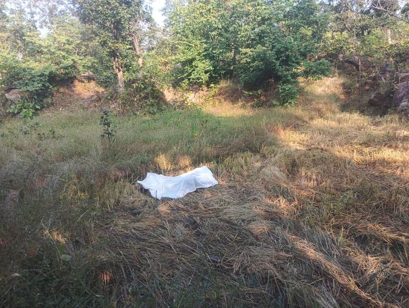 जंगल का आतंक: कुनकुरी के गड़ाकटा में हाथी के हमले में किसान की दर्दनाक मौत, खेत में मिला क्षत-विक्षत शव!