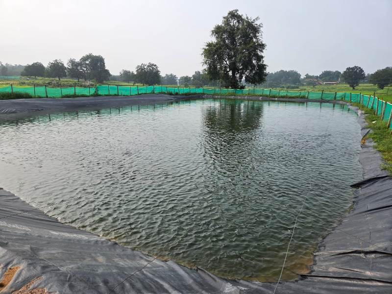 विशेष लेख : मुख्यमंत्री विष्णुदेव साय के नेतृत्व में जशपुर ने मत्स्य उत्पादन के क्षेत्र में हासिल की उल्लेखनीय उपलब्धि