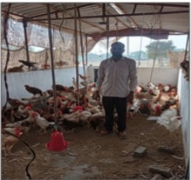 मनरेगा से निर्मित पक्के मुर्गी शेड ने बदली भूलू की किस्मत: ₹1.13 लाख की लागत से बढ़ी आय, जैविक खाद से कृषि में भी मिला लाभ