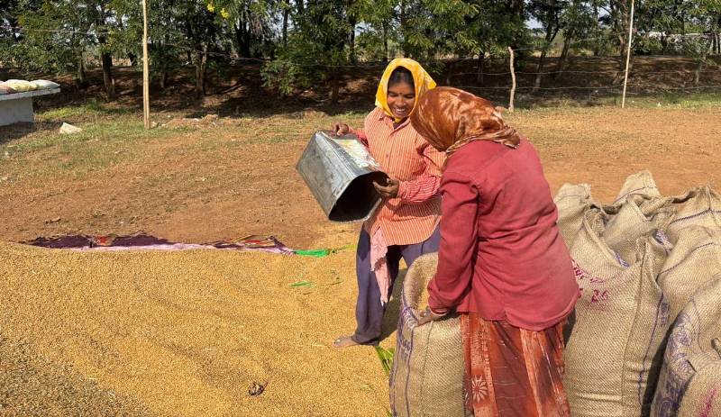 धान खरीदी शुरू होते ही धमतरी में लौटी रौनक: ईश्वरी–विद्या जैसी महिलाएँ बनीं ग्रामीण आत्मनिर्भरता की नई मिसाल