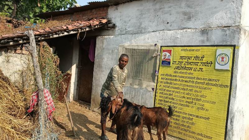 मनरेगा की सफलता की मिसाल! किसान महेत्तर लाल की कमाई दोगुनी, बकरी शेड बना जीवन बदलने वाला साधन