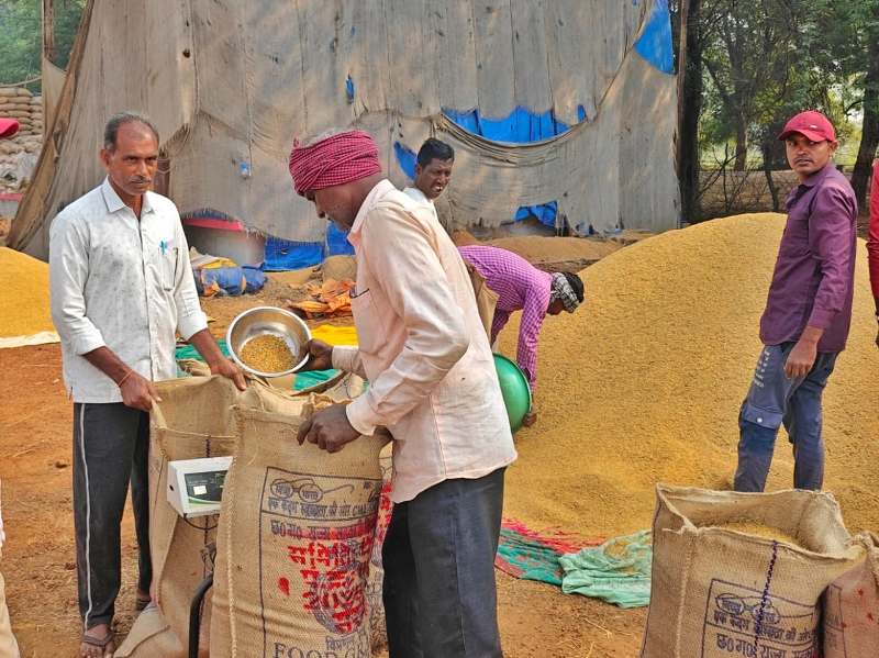 धान खरीदी में क्रांतिकारी बदलाव! किसान संतराम ने कहा—“पहली बार बिना परेशानी के तौल और भुगतान मिला समय पर”